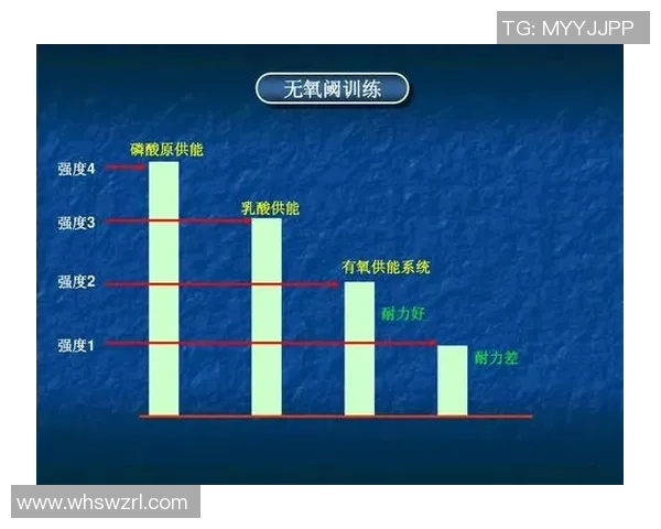 重庆羽毛球队进攻战术解析与训练方法深度剖析